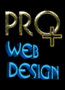 Pro Plus Web Design Logo